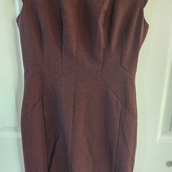 The Limited Maroon Sleeveless Shift Dress - Picture 8 of 9